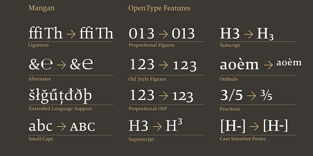 Mangan, a Serif Font by Hoftype (Photo 4 of 6)