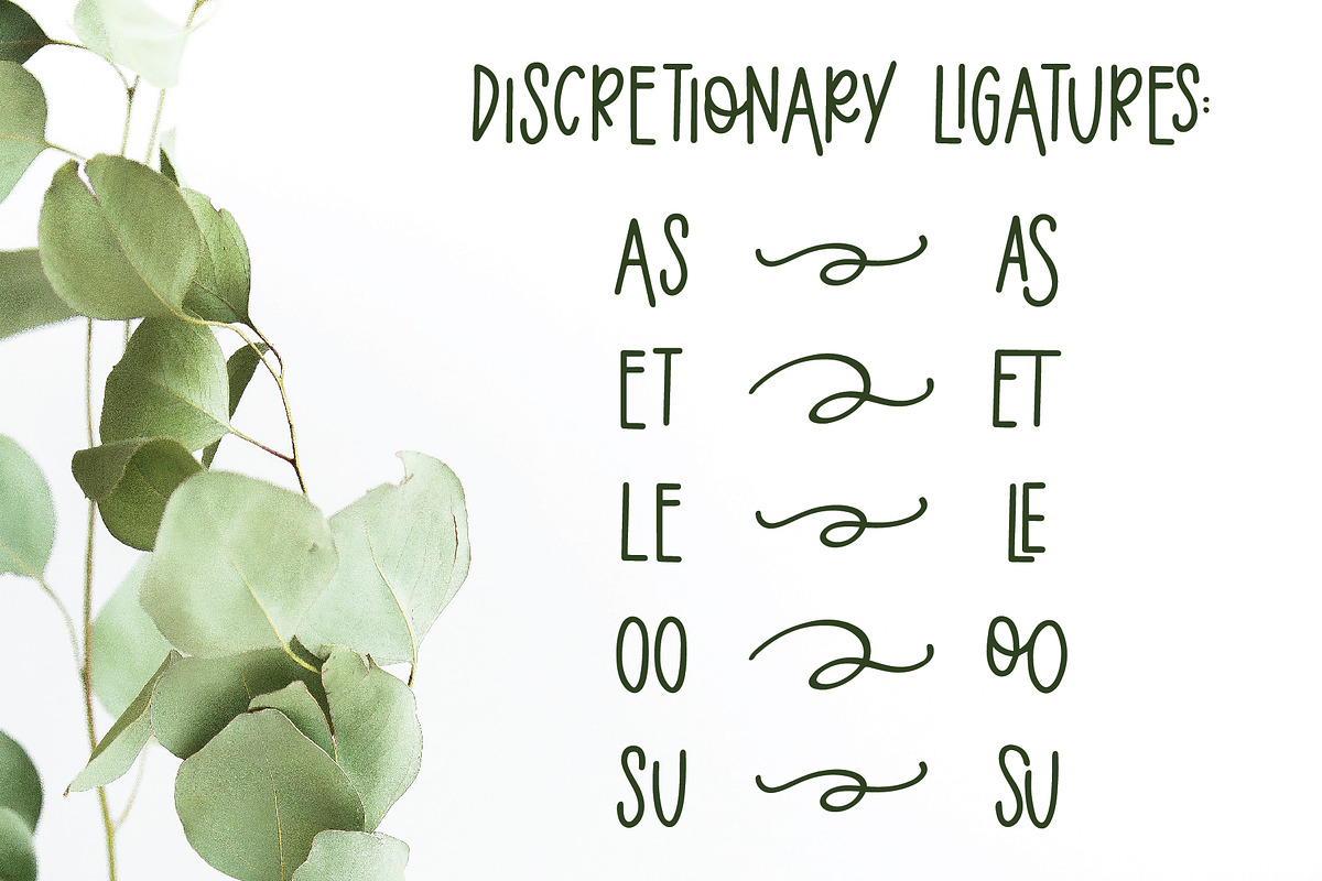 Eucalyptus Spearmint Monoline Script preview 7
