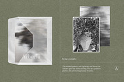 Botanical Still Life Photography, a Background Graphic by bron.alexander (Thumbnail 5 of 10)