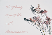 Glenor Script Font, a Script Font by Creative Foundry (Thumbnail 6 of 9)