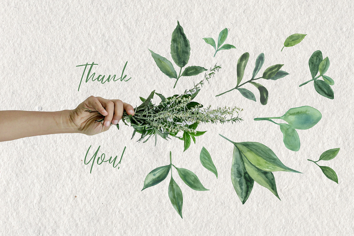 Leaves and Branches, an Object Graphic by Tiger and Flower (Photo 7 of 7)