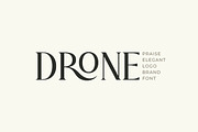 Praise Elegant Stylish Font, a Serif Font by Typebae (Thumbnail 9 of 12)