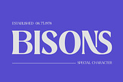 Ridesta Family, a Font by Fontastic (Thumbnail 3 of 11)