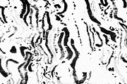 Frenzy Vol 1, a Texture Graphic by Jennifer Lauren Creative (Thumbnail 9 of 16)