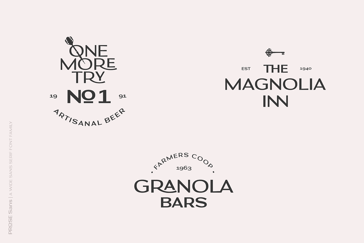 Prose Sans | Sans Serif Font Family, a Sans Serif Font by Ayca Atalay (Photo 4 of 11)