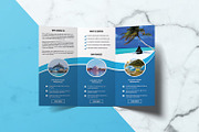 TriFold Travel Agency Brochure, a Brochure Template by retrographix (Thumbnail 3 of 4)