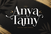 Anya Tamy - Classic Serif Font, a Serif Font by StringLabs (Thumbnail 1 of 10)