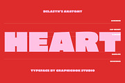 Delasyn, a Sans Serif Font by graphicook (Thumbnail 5 of 10)