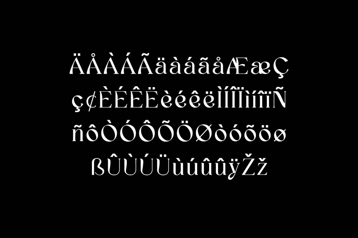 Dominance Elegant Serif Display Font, a Serif Font by UICreative (Photo 8 of 13)