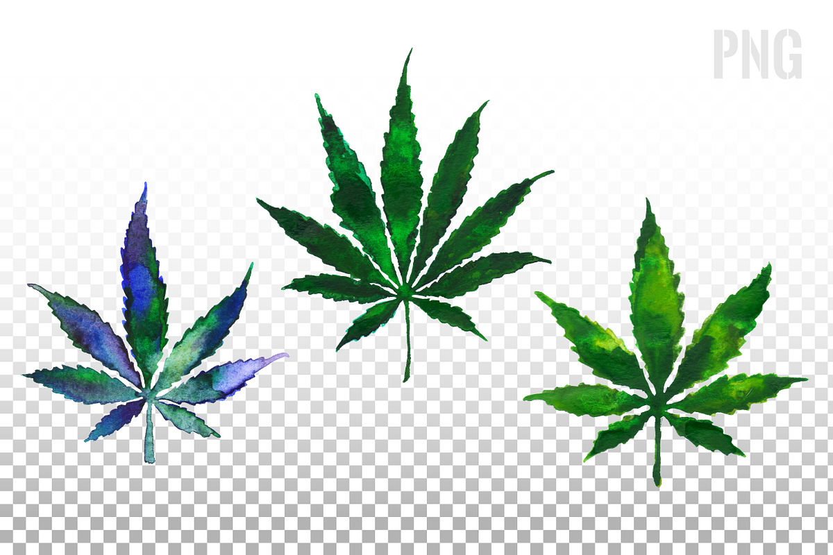 Weed. Stoner gadgets & accessories, a Healthcare Illustration by Margo Miller (Photo 28 of 45)