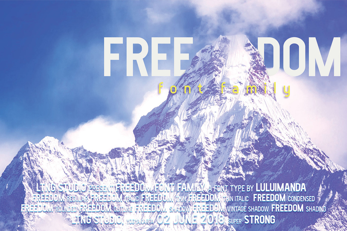 FREEDOM font family preview 8