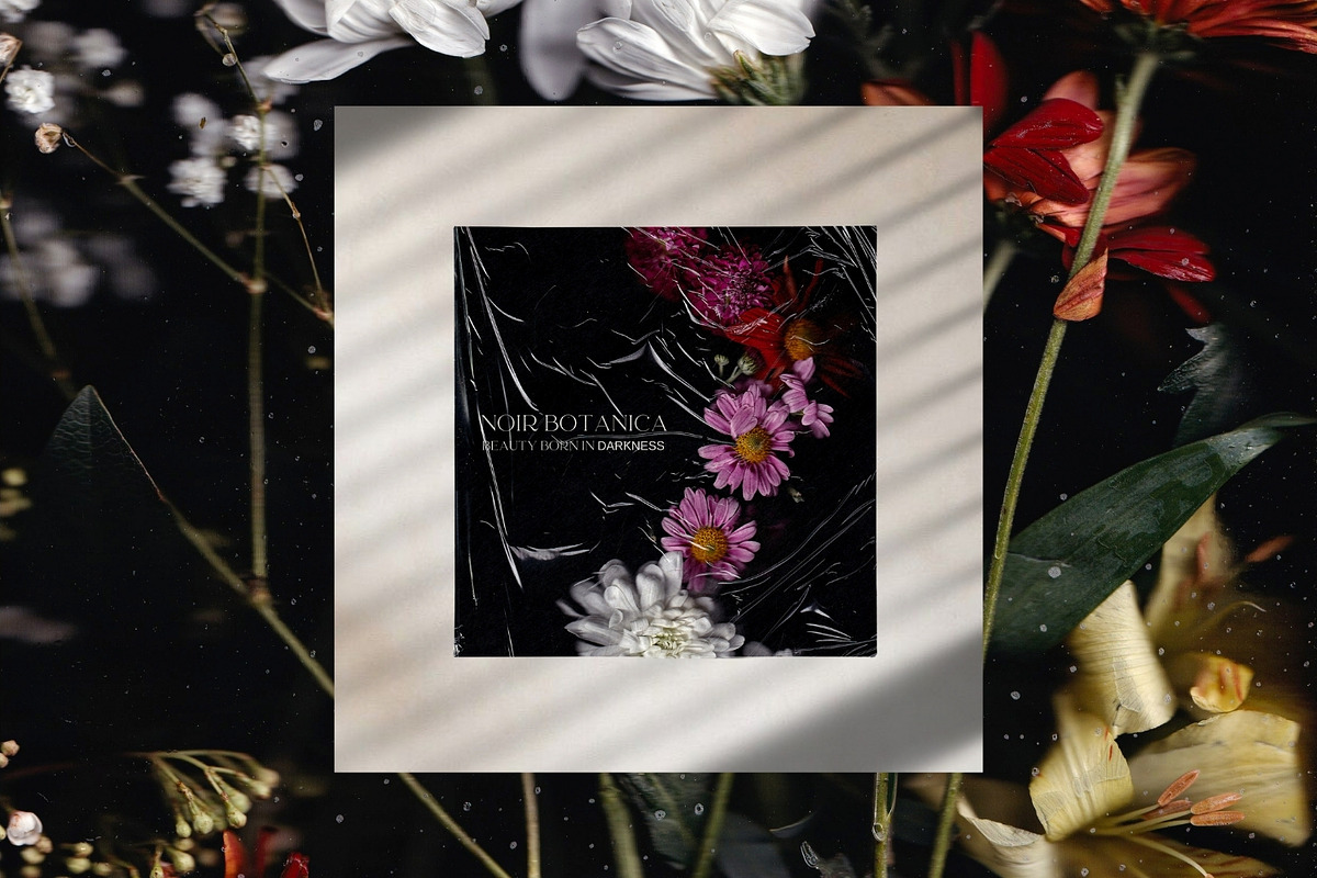 Noir Botanica Scanographs, a Texture Graphic by House of Delfina (Photo 7 of 11)
