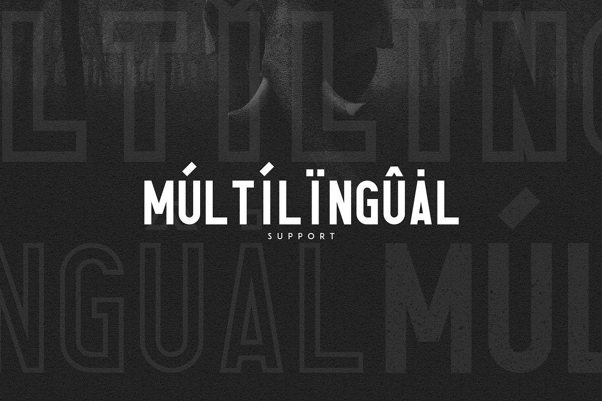 Elephant Font Family -50% preview 7