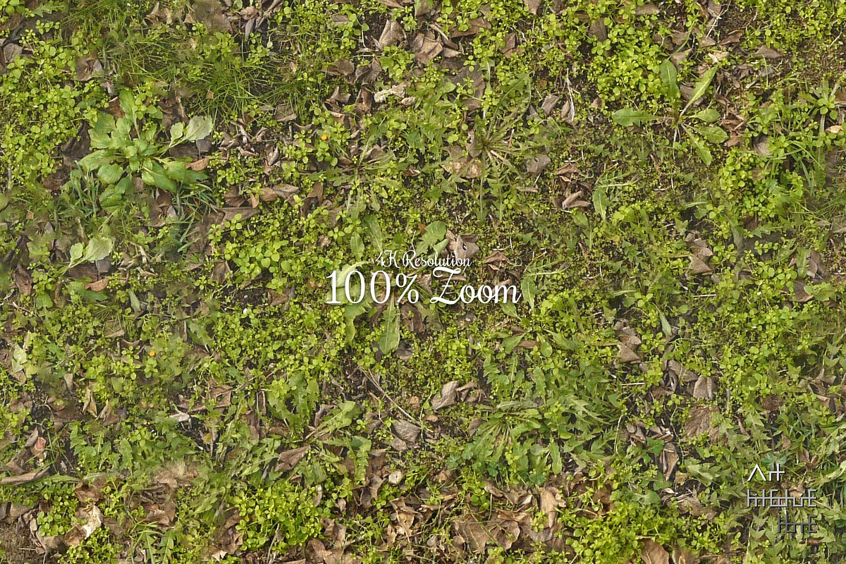 Seamless Ground Textures-Autumn Moss, a Texture Graphic by Arthitecture Home (Photo 2 of 11)