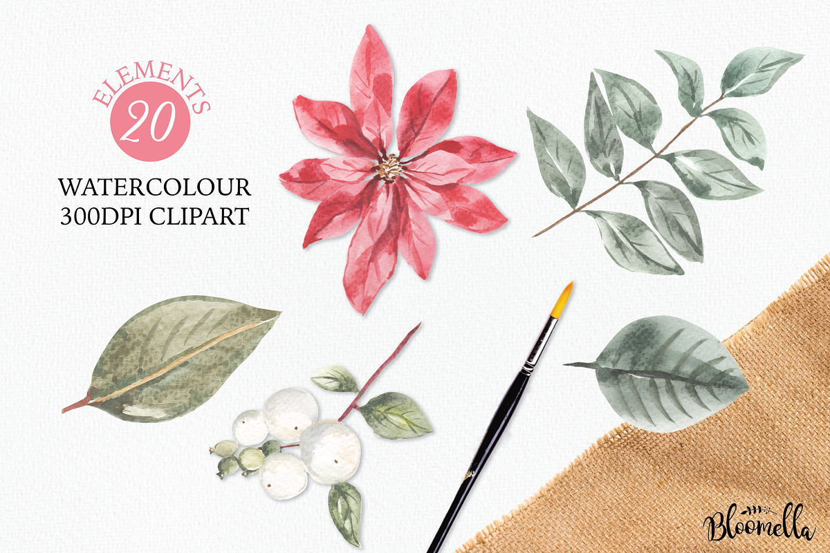 Poinsettia Festive Watercolor Floral, an Object Graphic by Bloomella (Photo 4 of 4)