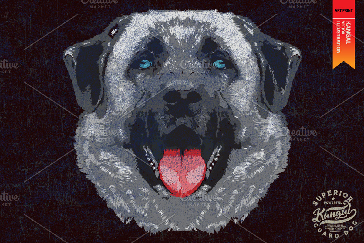 KANGAL - Vector illustration, an Animal Illustration by Artistic & Unique