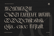 Vingico – Elegant Serif Display Font, a Serif Font by Nollev (Thumbnail 15 of 15)