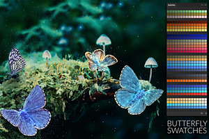 Butterfly Swatches