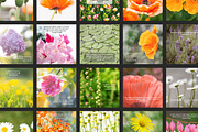 Flower Therapy Instagram Posts, a Social Media Template by minersgold (Thumbnail 5 of 7)