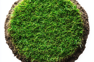 Grass green circle land ground floor, an Abstract Photo by Pixeness Studio