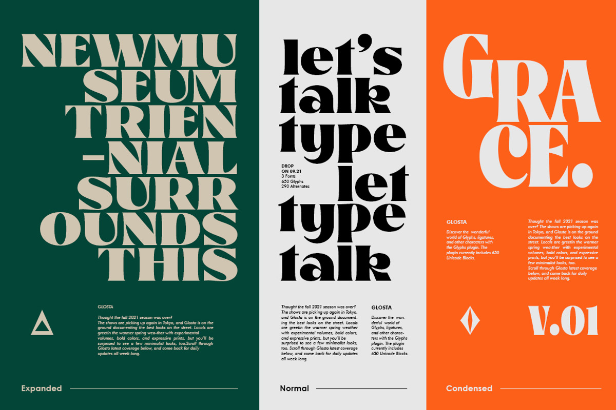 Glosta, a Serif Font by TRF Fonts (Photo 10 of 18)