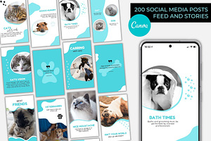 PETS INSTAGRAM FEED AND STORIES