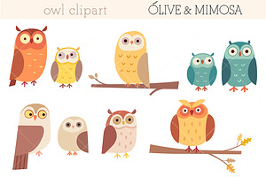 Owl characters set