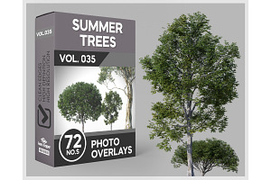 72 Summer Trees Photo Overlays, a Nature Photo by KenScape