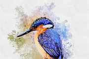 Abstract Paint Photoshop Action, an Action Add-On by MRI STUDIO (Thumbnail 12 of 15)