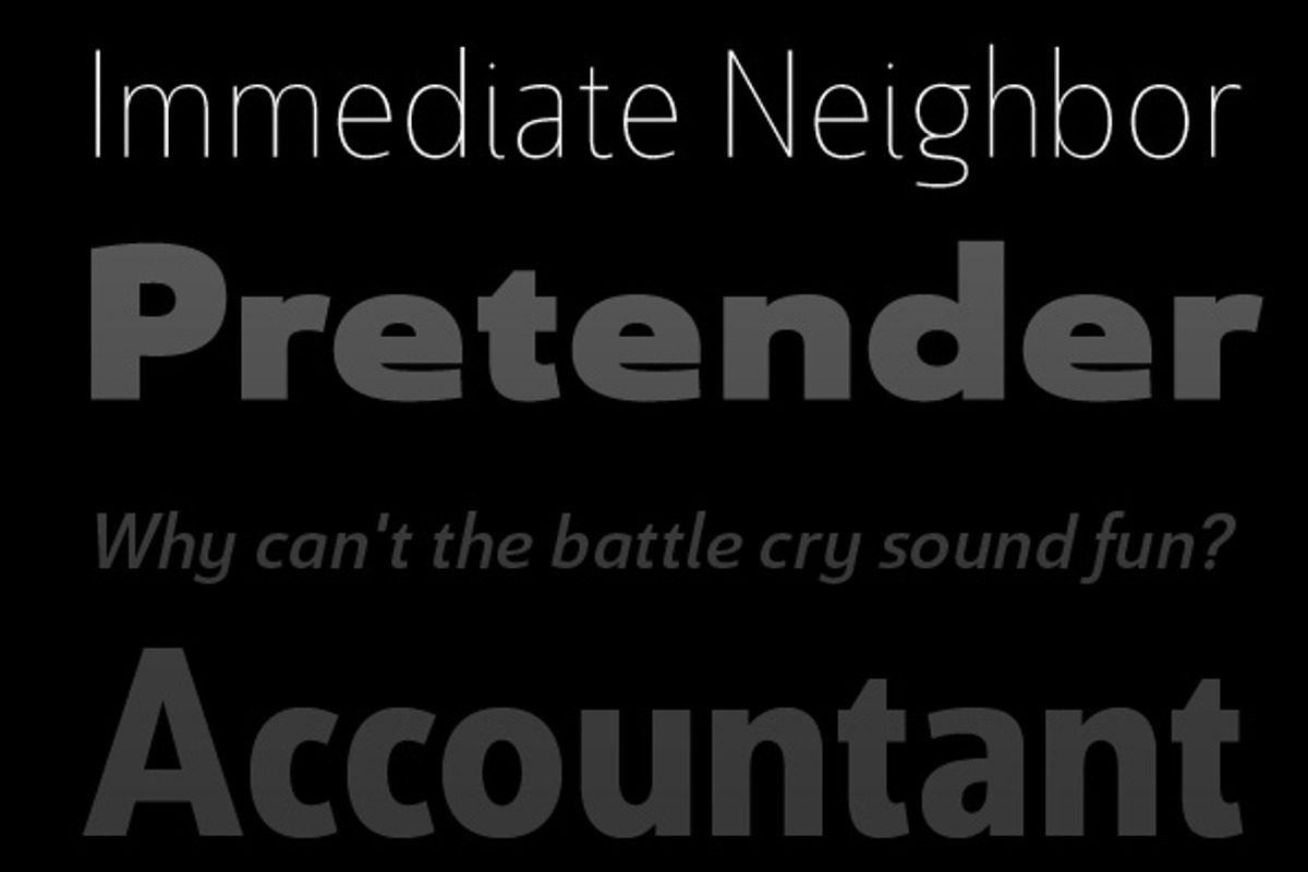 Savigny, a Sans Serif Font by insigne (Photo 3 of 4)