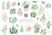 Lush Succulent Bundle, an Illustration by PetiteMarket (Thumbnail 5 of 5)