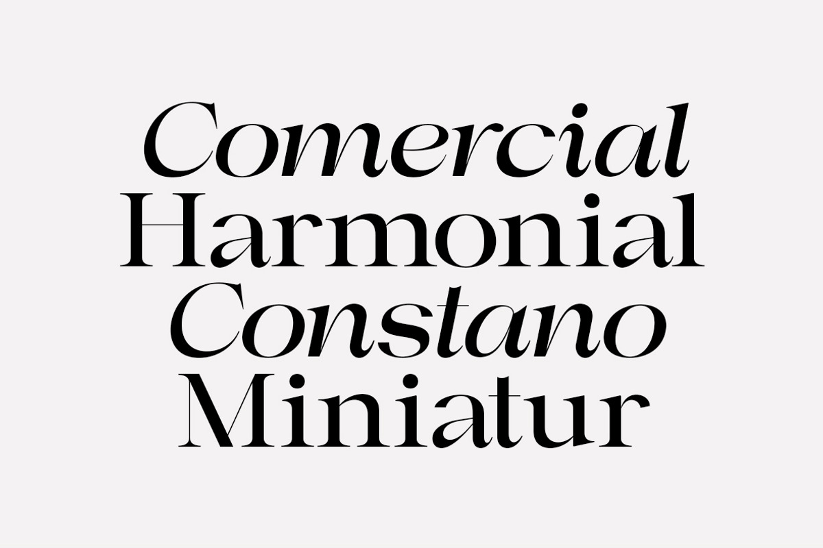 Astani Display, a Serif Font by InkwellTypeCo (Photo 7 of 17)