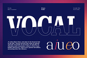 Clastin Variable, a Slab Serif Font by Stripes Studio (Thumbnail 10 of 15)