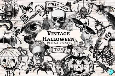 Vintage Halloween Digital Stamps, an Object Graphic by Emily Designs