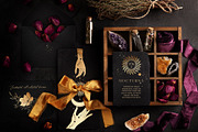 NOCTURNA Hidden Secrets Collection, a Decorative Illustration by Muse Artist (Thumbnail 18 of 47)