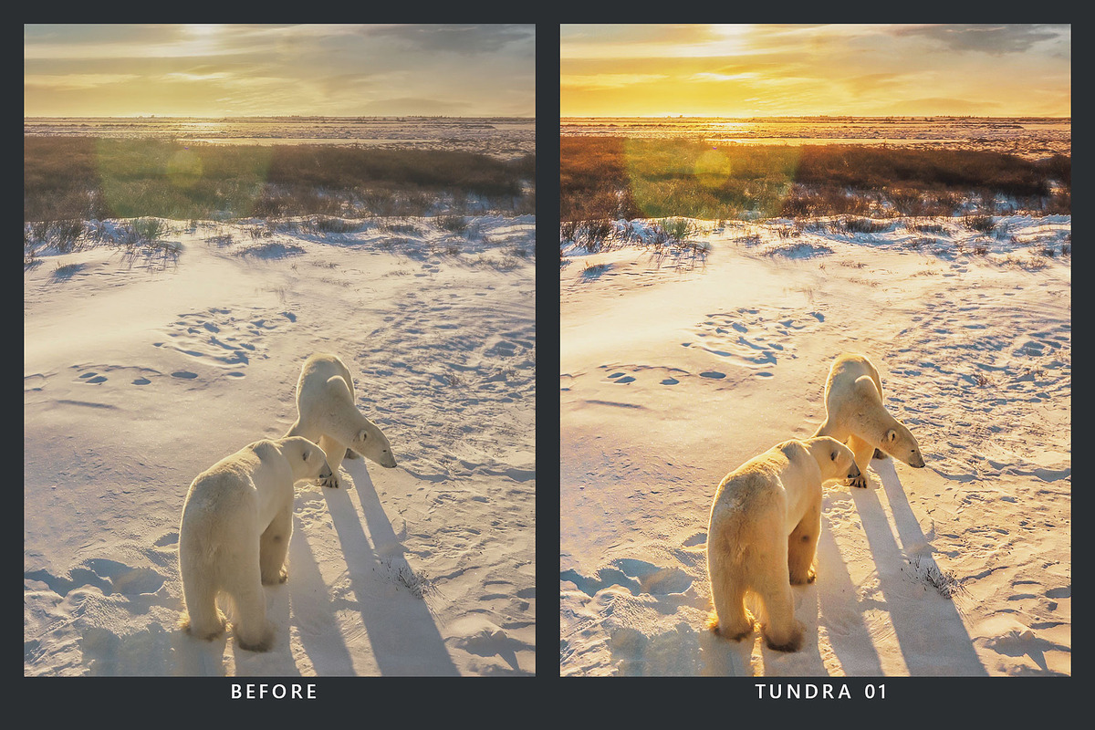 20 Wildlife Lightroom Presets & LUTs, a Preset Add-On by SparkleStock (Photo 5 of 9)