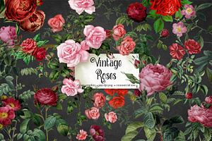 Vintage Roses Clipart