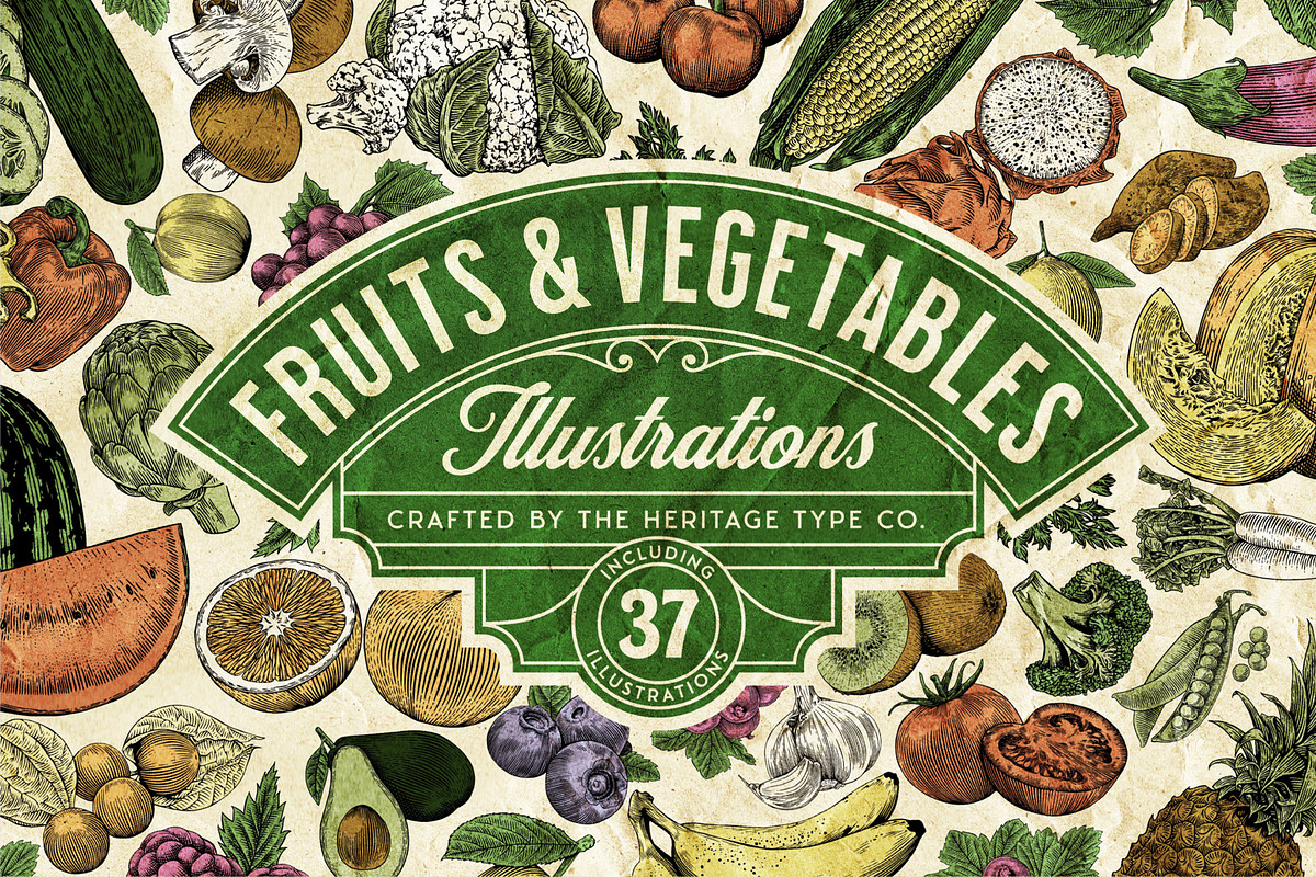 Fruits and Vegetables Illustrations, an Illustration by Heritage Type Co. (Photo 1 of 8)