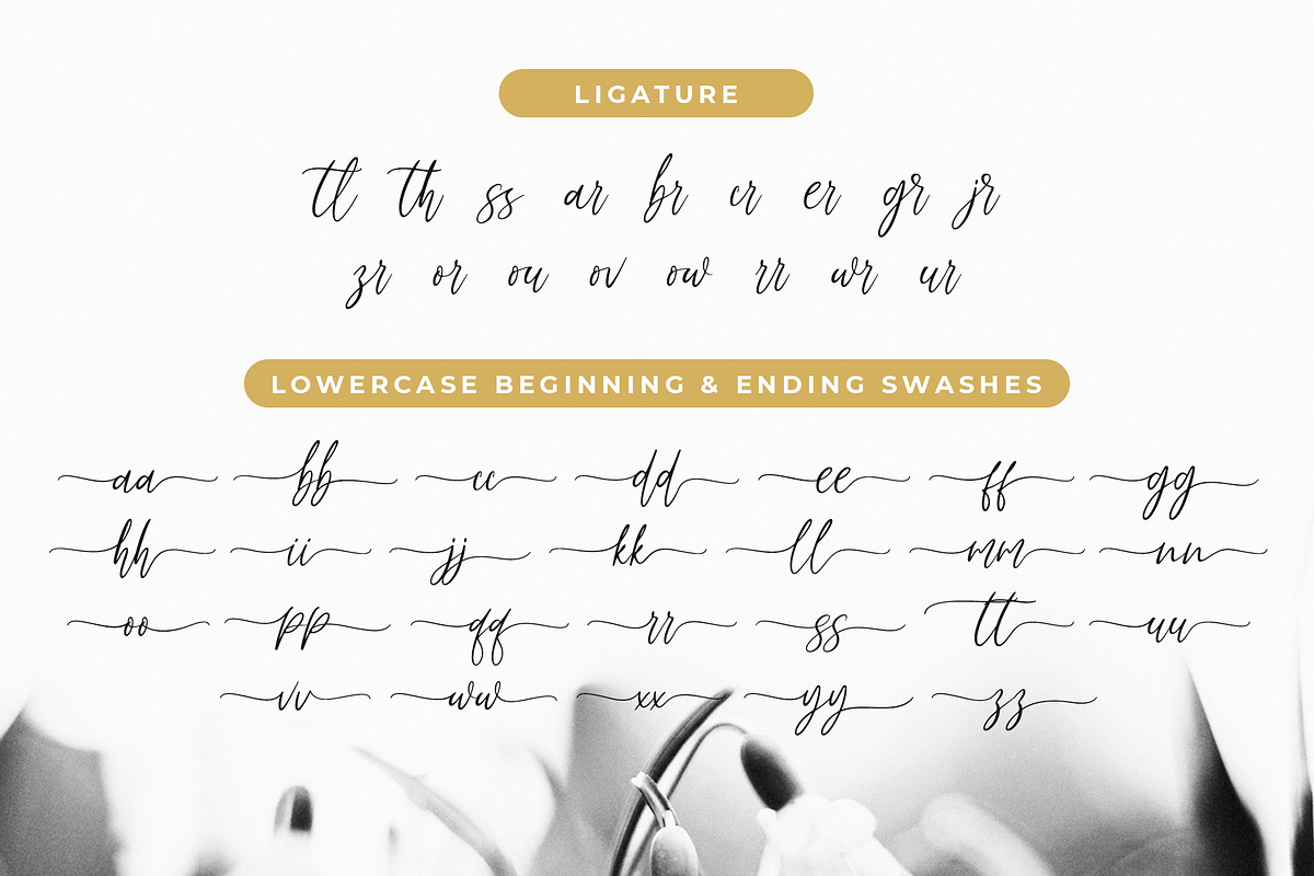 Fadhillah Signature, a Script Font by Gatype (Photo 7 of 7)
