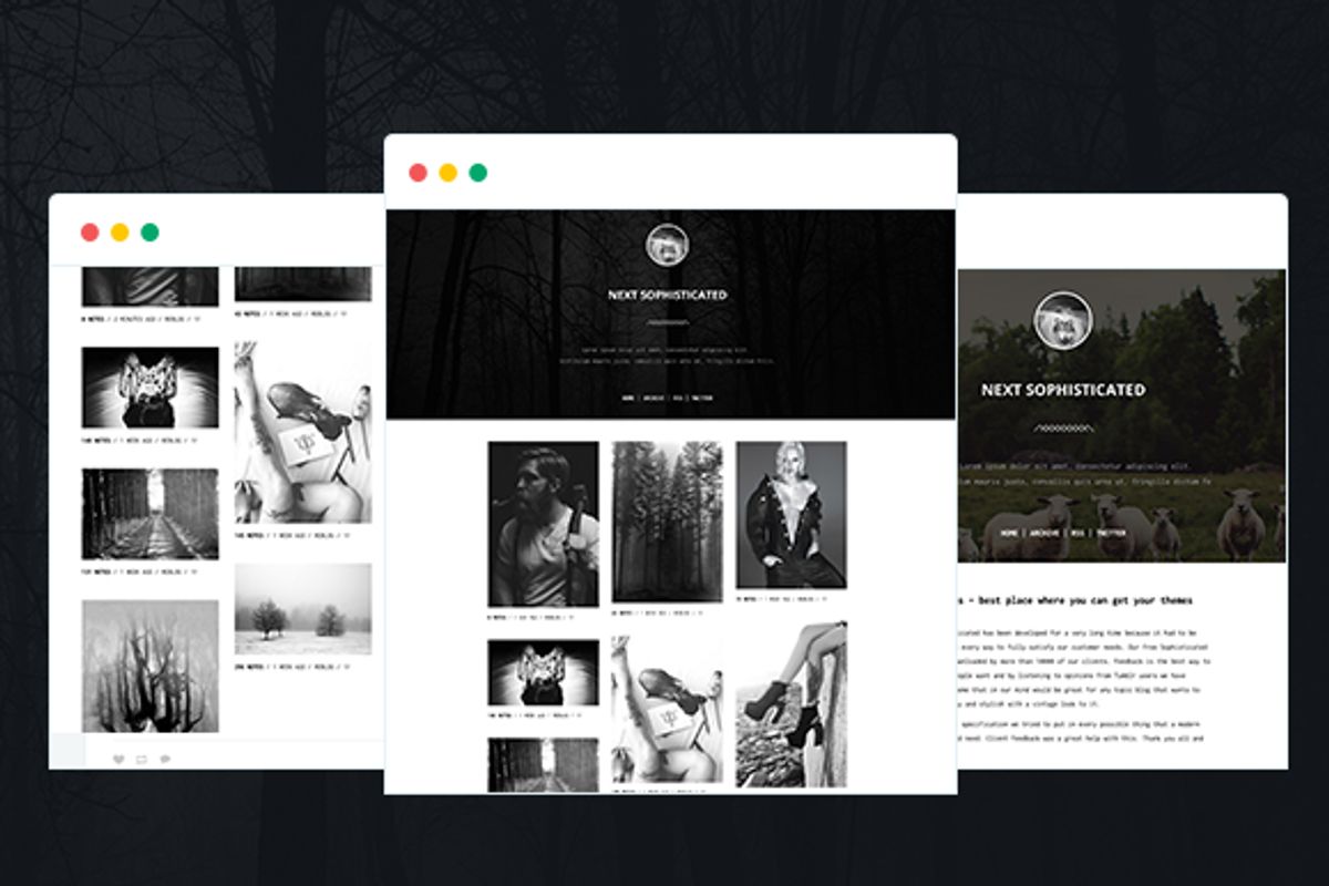 Next Sophisticated Tumblr Theme, a Websites & App Template by WoxThemes (Photo 1 of 4)