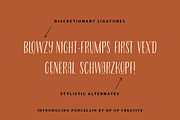 Porcelain Condensed Sans, a Sans Serif Font by Up Up Creative (Thumbnail 5 of 9)