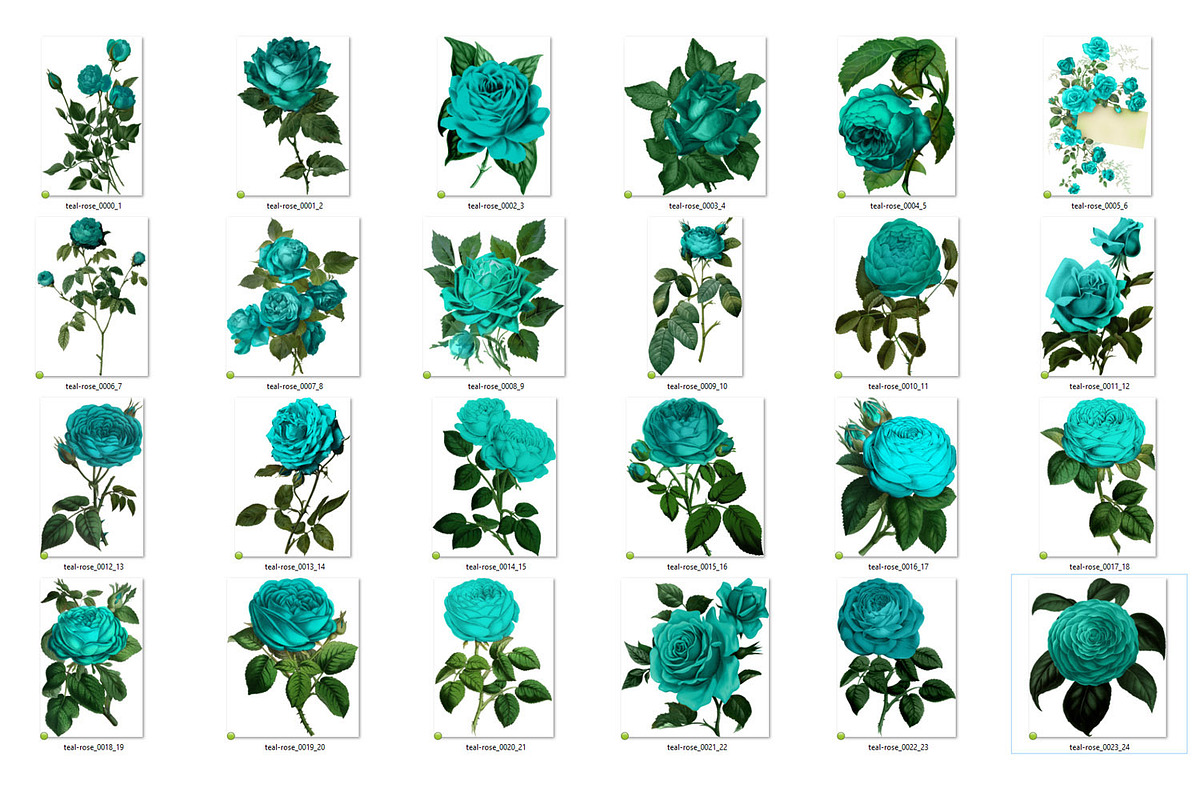 Vintage Teal Roses Clipart, an Illustration by Digital Curio