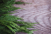 Rustic Flat Lay, a Nature Photo by Ana Dee Photography (Thumbnail 2 of 2)