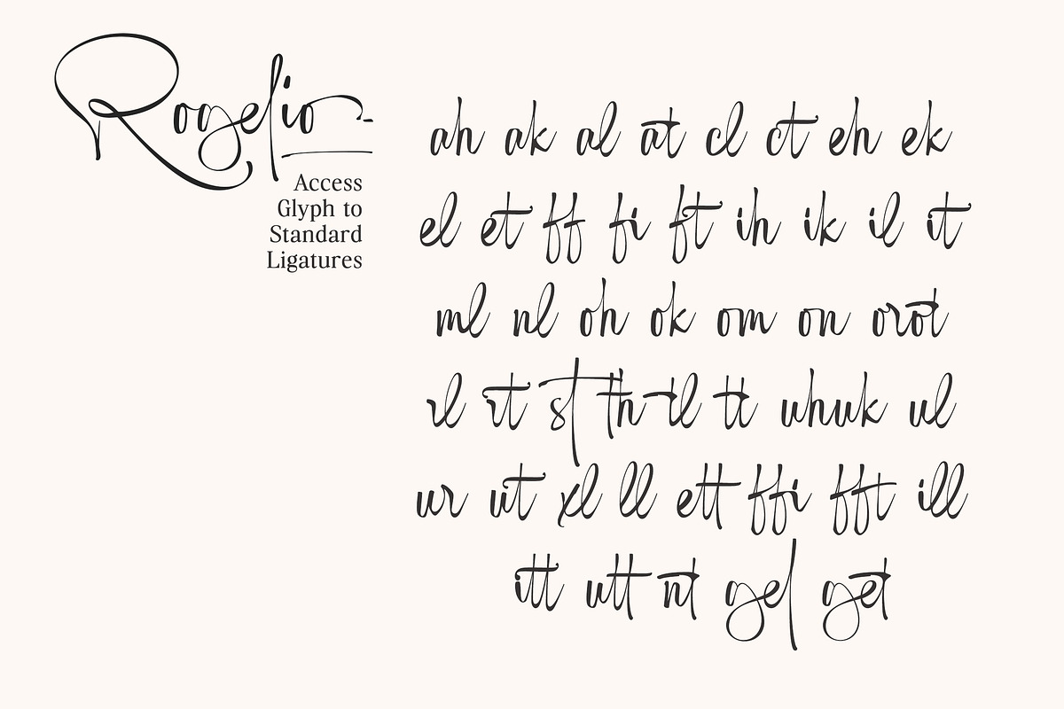 Rogelio Script, a Handwritten Font by joelmaker (Photo 8 of 17)