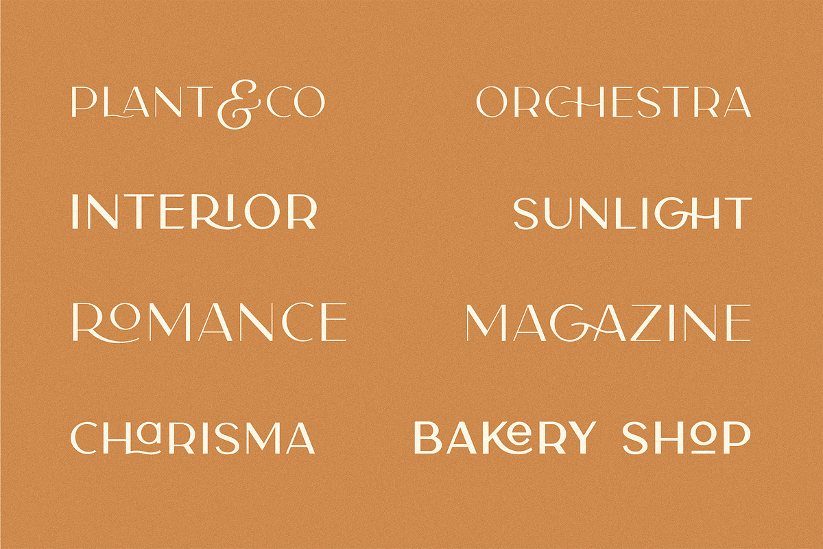 Carla Sans - Elegant Typeface, a Sans Serif Font by Creative Corner (Photo 26 of 26)