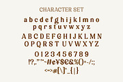 Mekuria Salten Font, a Serif Font by HansCo Studio (Thumbnail 8 of 10)