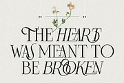 Frosty Garden - Elegant Retro Serif, a Serif Font by SilverStag Type Foundry (Thumbnail 13 of 19)