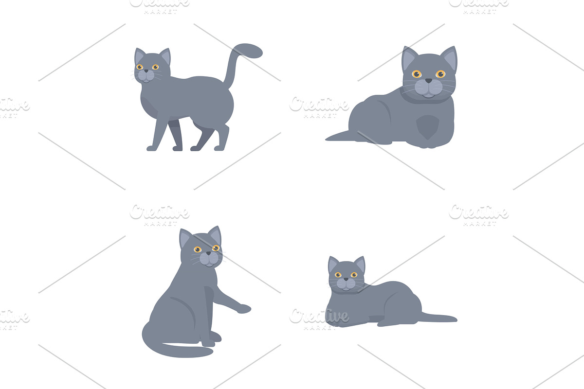 Set of cartoon grey cats in various, an Animal Illustration by Ylivdesign