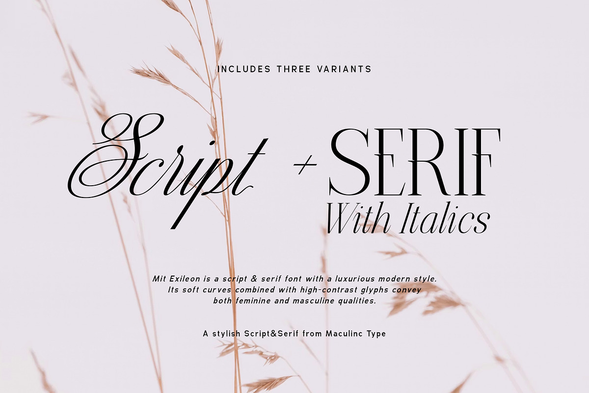 MIT Exileon - Script&Serif font duo, a Serif Font by Maculinc Type (Photo 2 of 16)