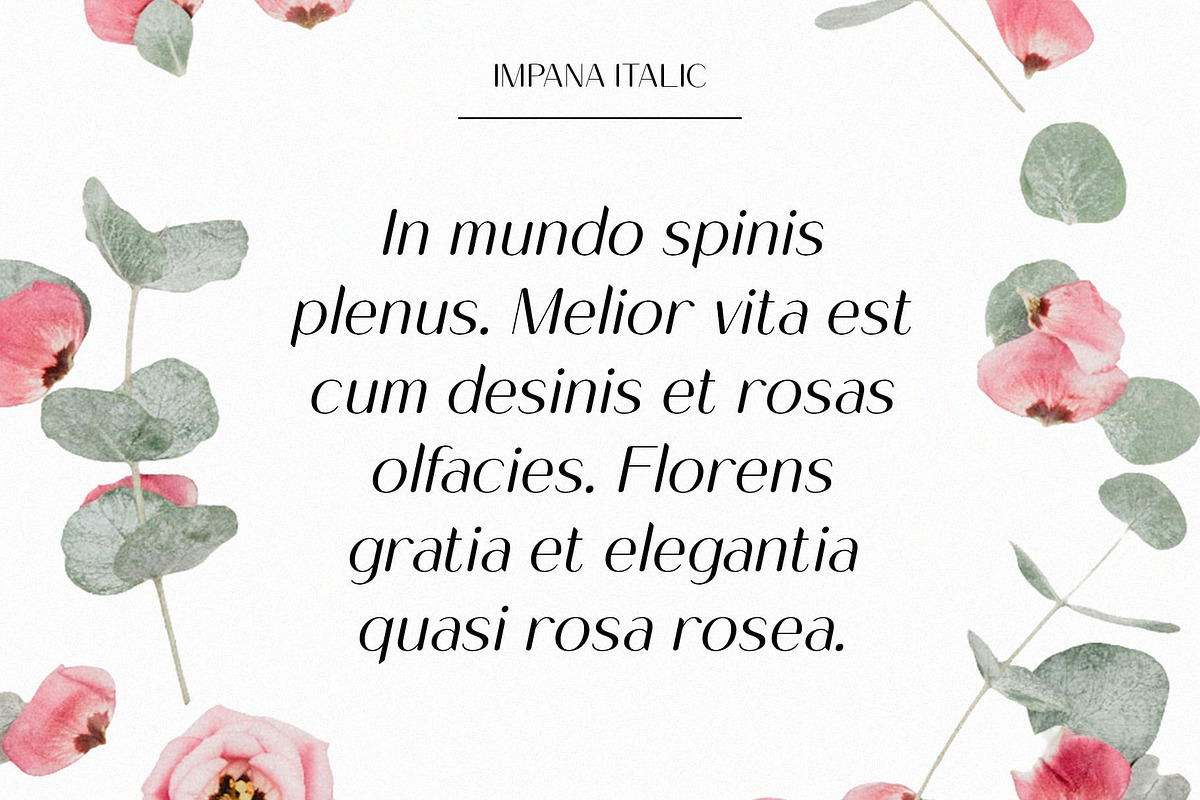 Impana Rounded, a Sans Serif Font by Craft Supply Co. (Photo 2 of 8)